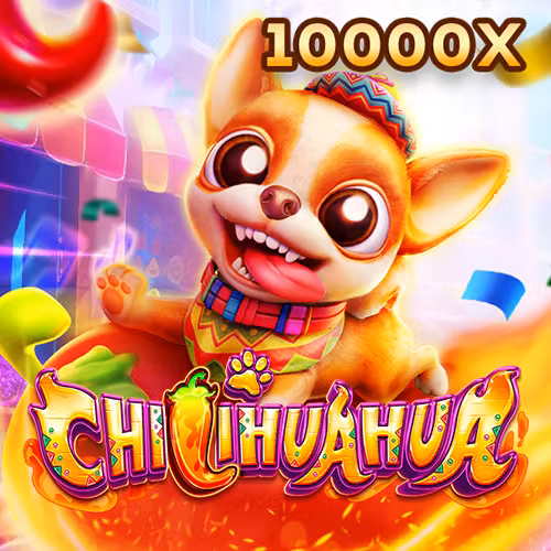 166bet Fachai Chihuahua Portrait